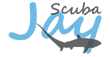 Scuba Jay